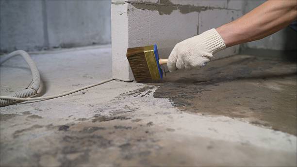 SJ Waterproofing Pros Sump Pump Installation coverage map for Schoolcraft, MI and surrounding area